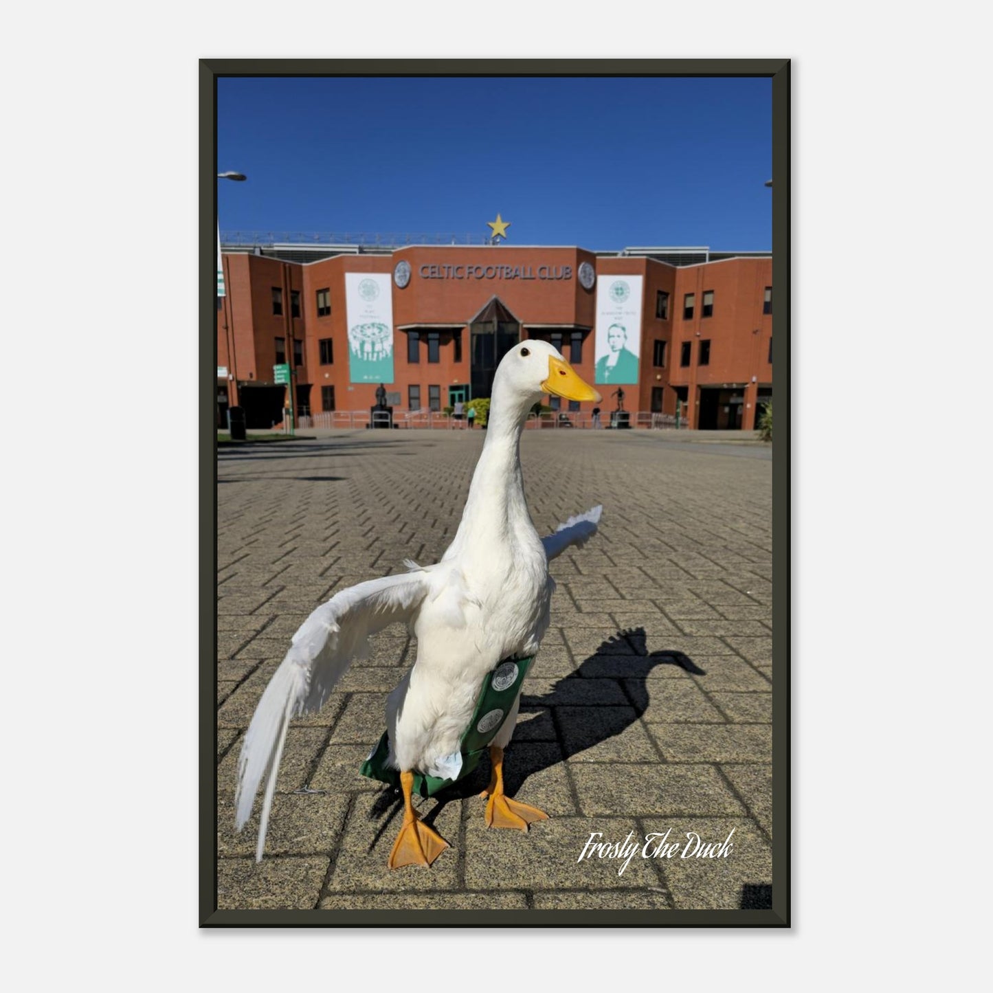 1678757b-3842-41ea-a7e4-ad78929f7780