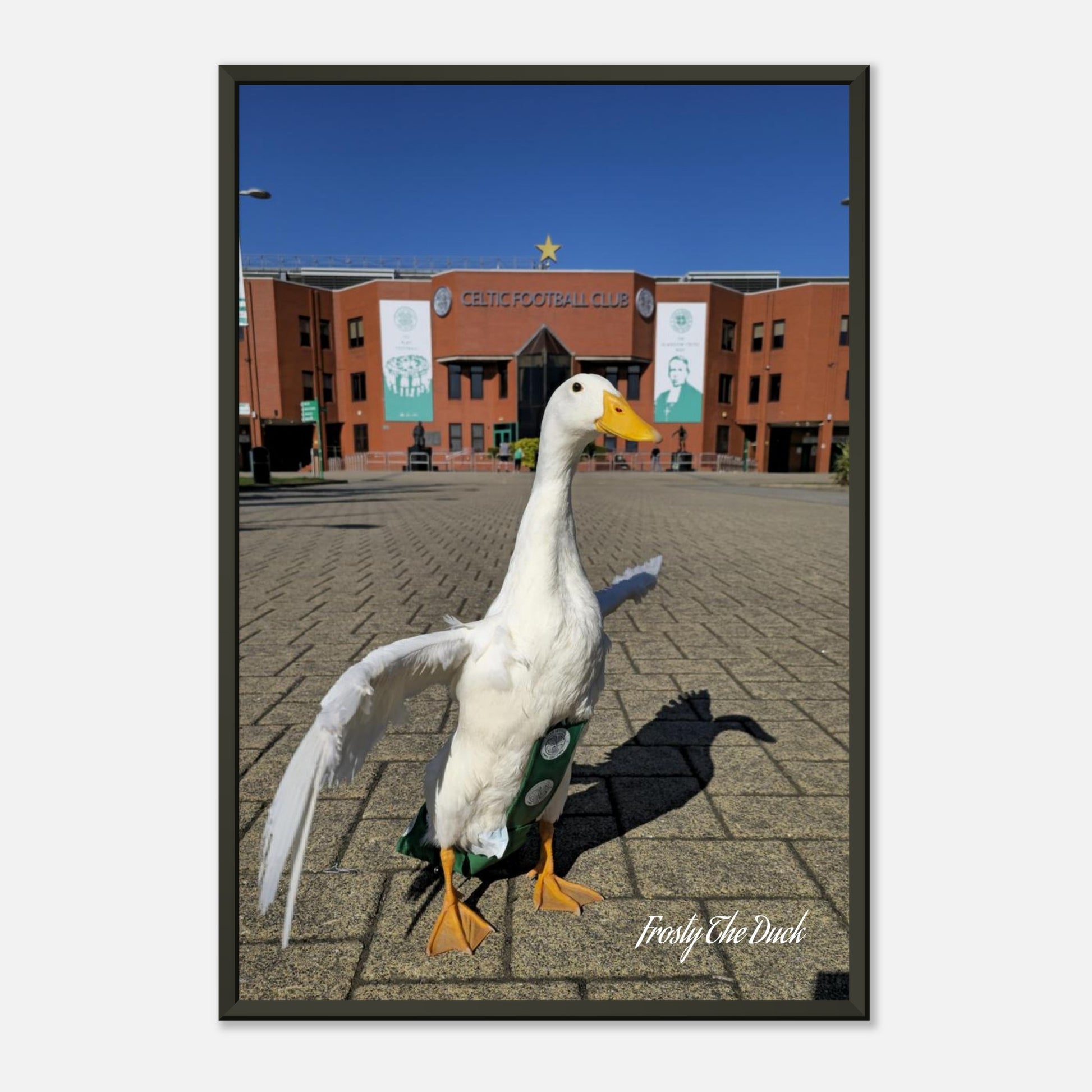 1678757b-3842-41ea-a7e4-ad78929f7780