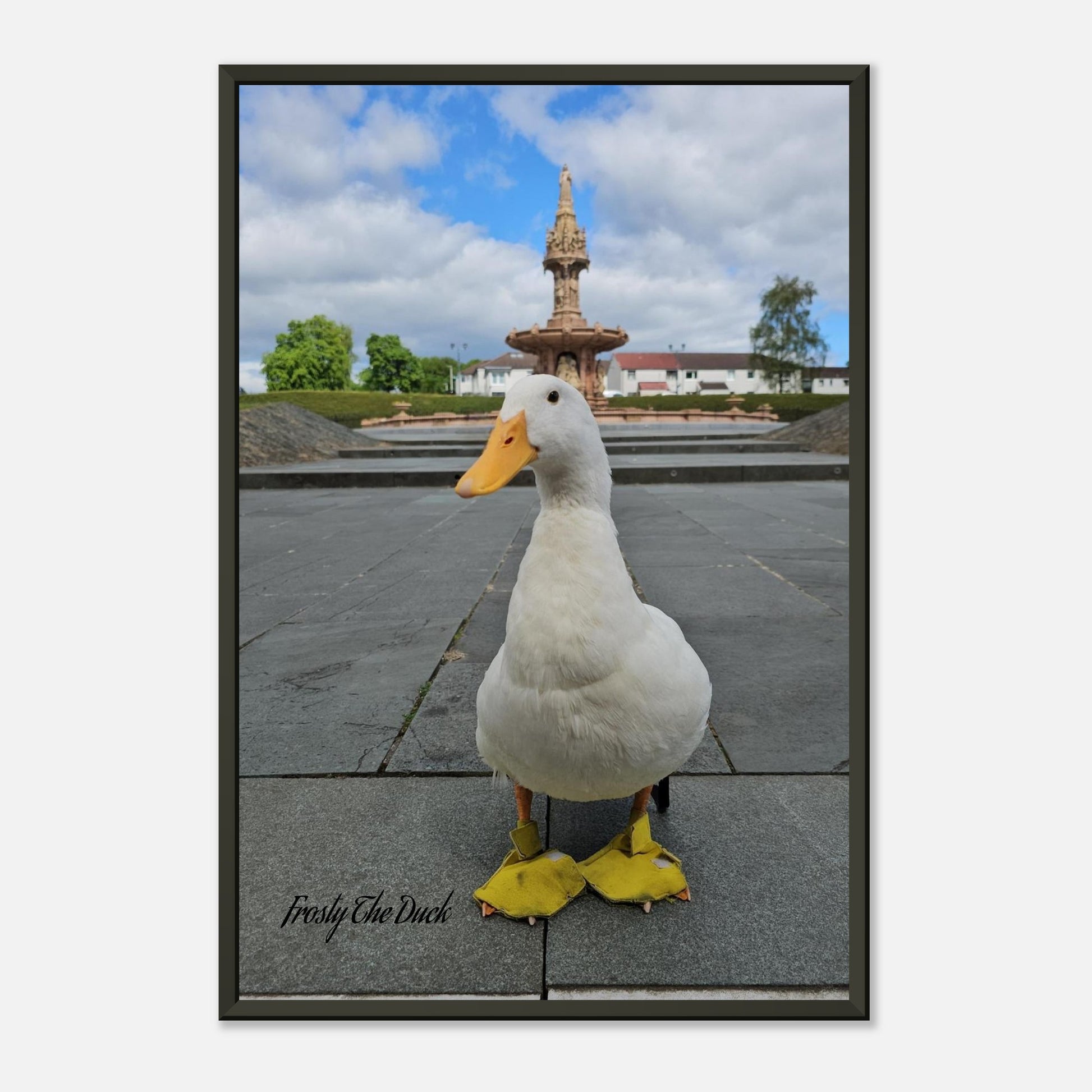 1c019870-a0bf-4124-b50d-86ac81f5b65e