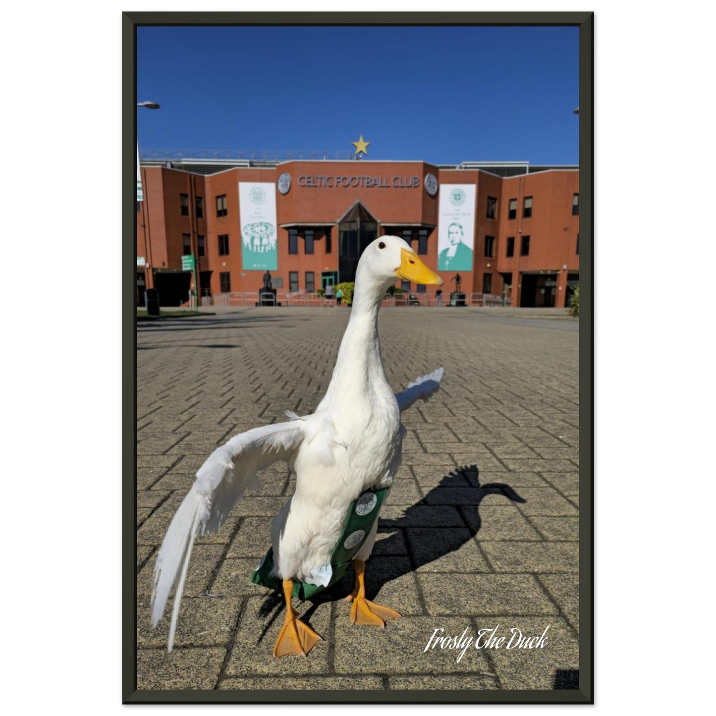 1e1370e8-d939-4d35-b4f8-c0de7b77f000