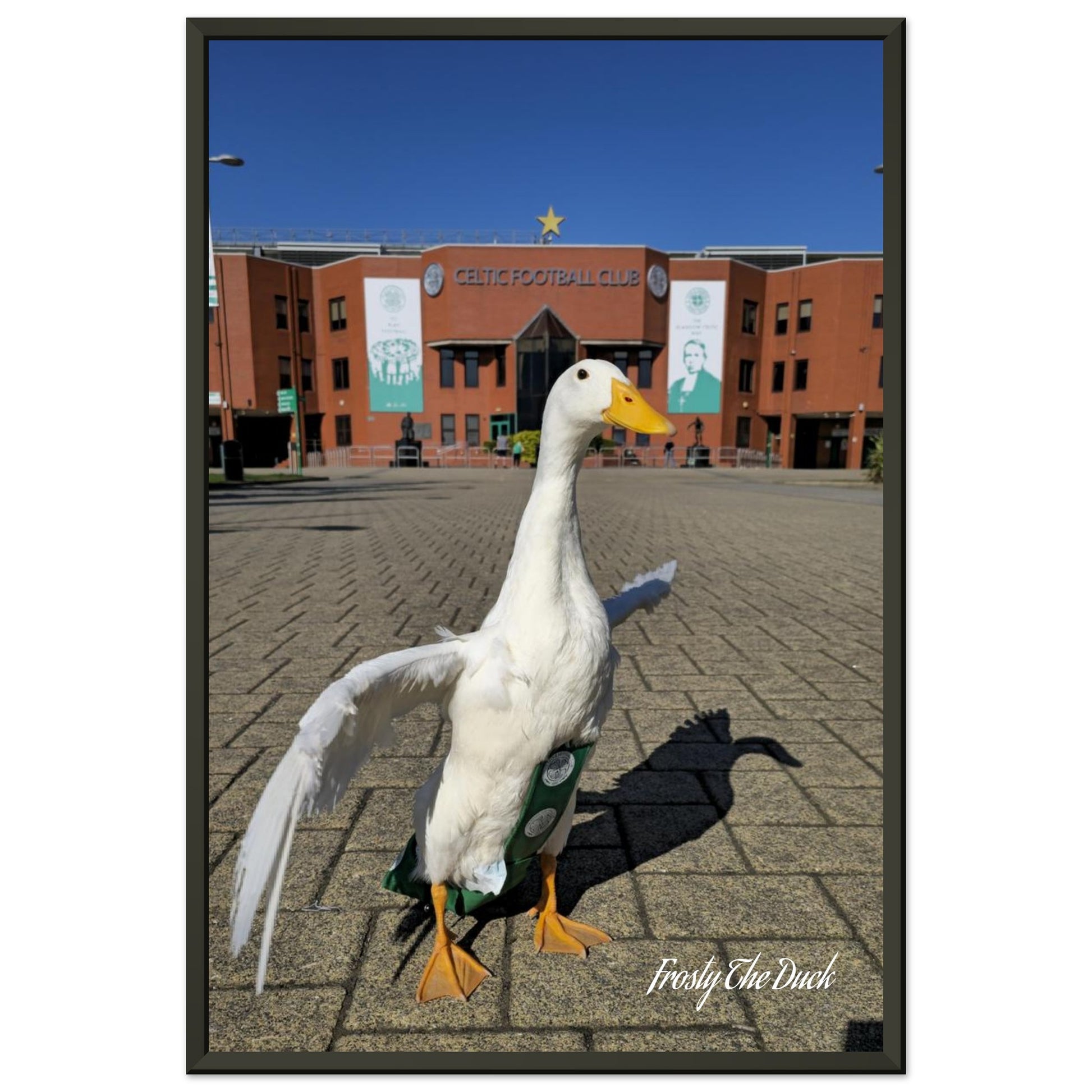 1e1370e8-d939-4d35-b4f8-c0de7b77f000