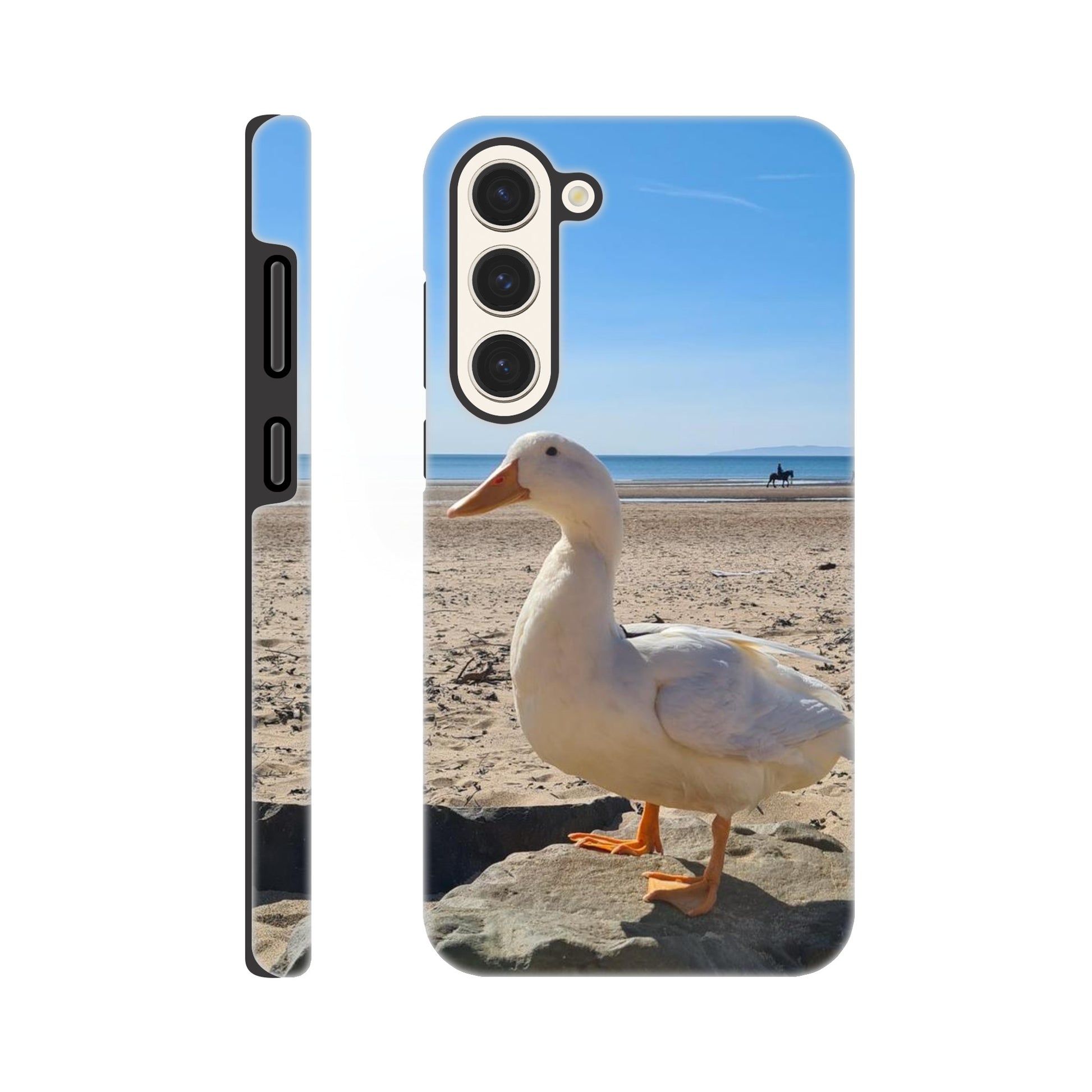 2ceedb96-cfc5-430f-b4d6-a3b0e808f5d9