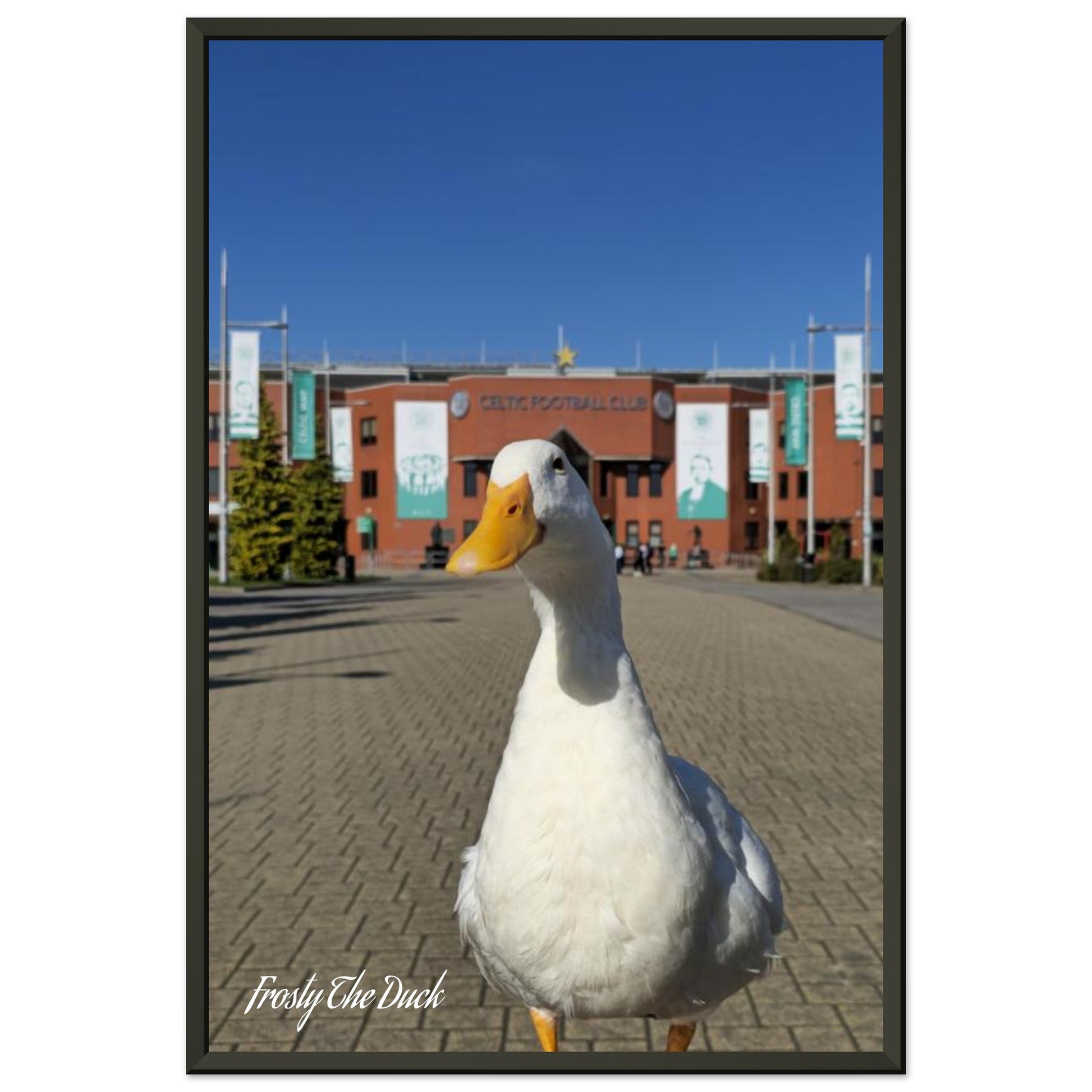 2eb5d7d6-e3ae-479c-b4e6-14592c267c6d