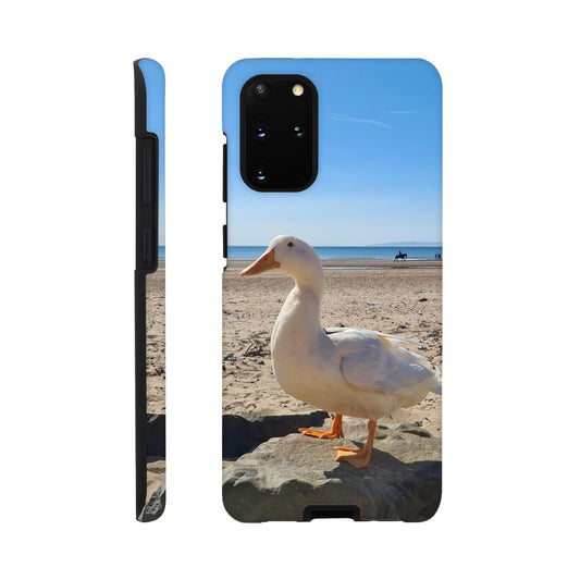 4e7f3acb-98ed-4460-9c51-1b9b4f2921b6