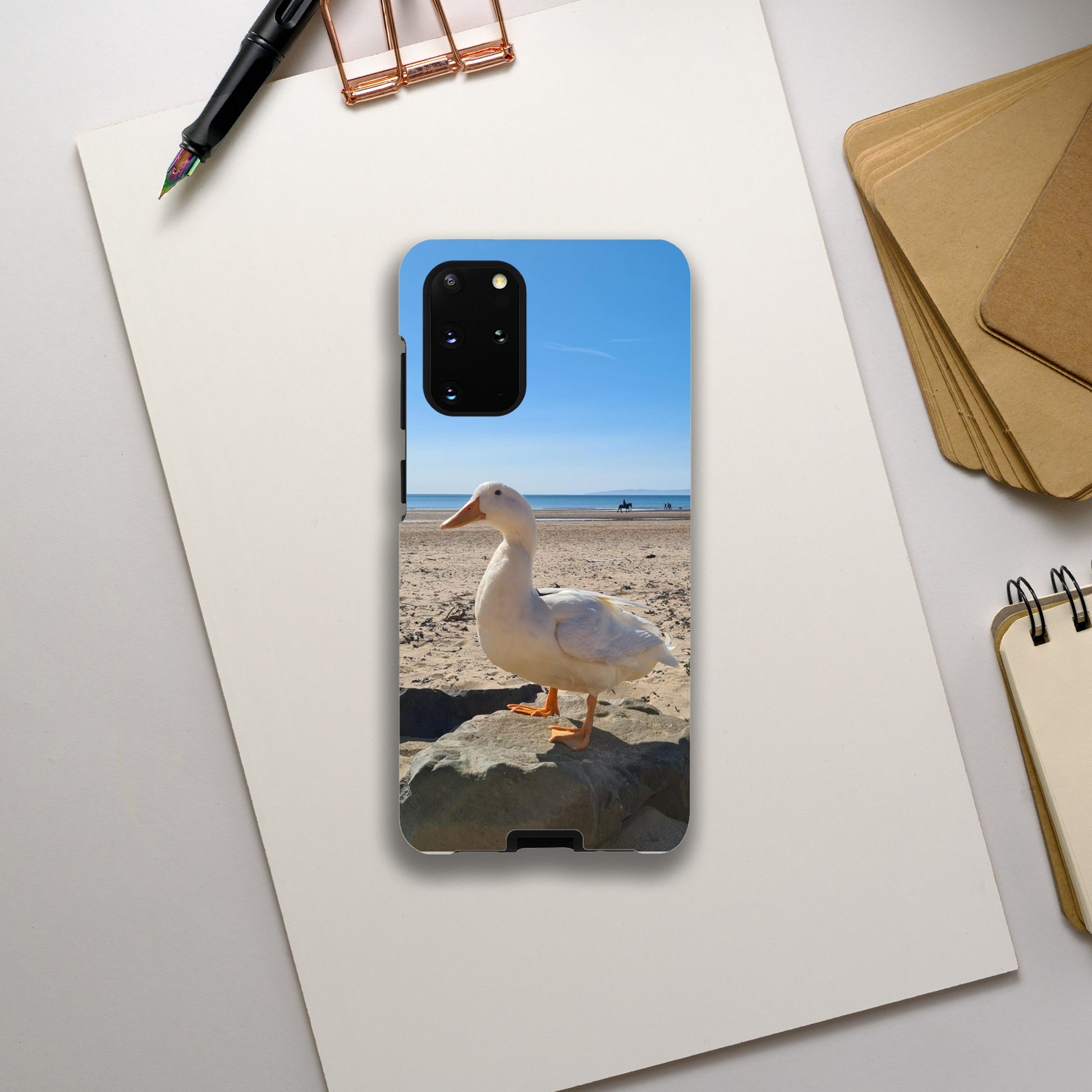 8d1ebd9b-c9ab-4db9-980b-b64d34273cc3