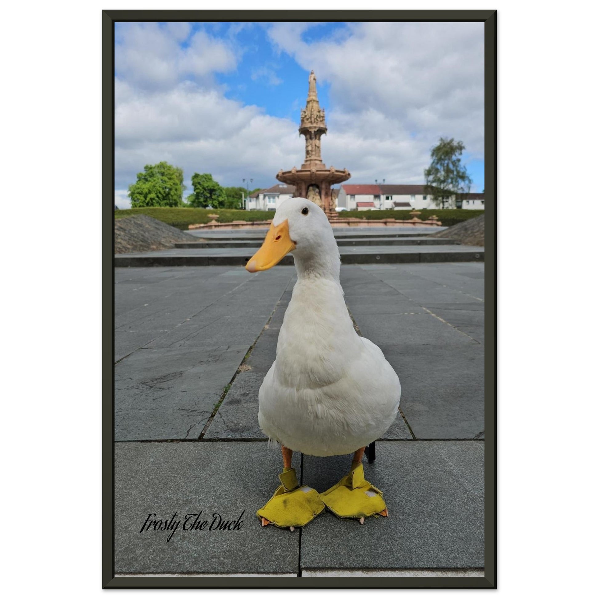 9806cdc9-d354-4b78-b5a9-e0bc6bbf0bbd