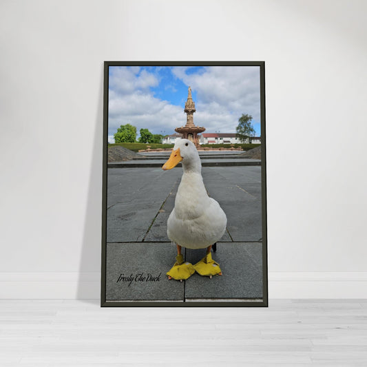 9942e7ab-0ffc-4753-9941-aa5fdaf13a3a